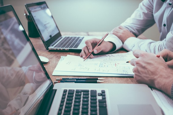 Professional SEO Audits